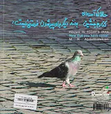 حالا که آمده ای